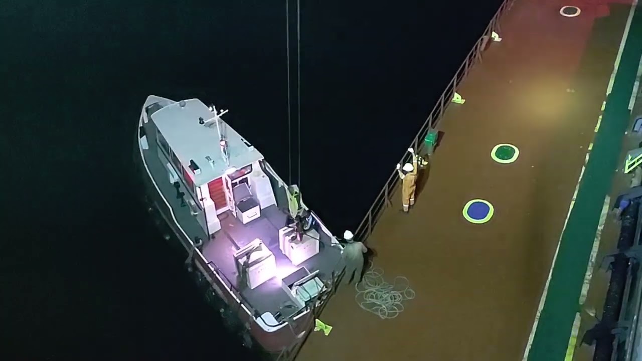 Boat arrived at night #ship #sailingcommunity #sailor #marinecourses 