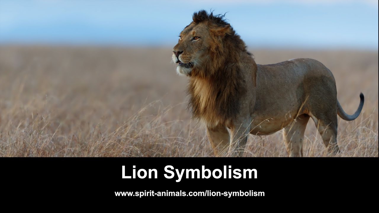 Lion Symbolism