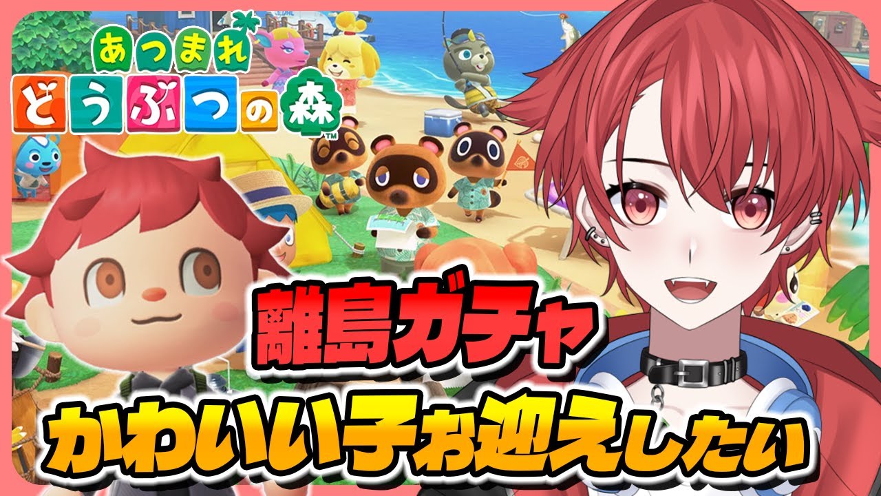 【#あつ森】離島ガチャやっぞー！オオカミさんが…欲しい!!｜初見さん大歓迎◎ #あつまれどうぶつの森 #vtuber #雑談