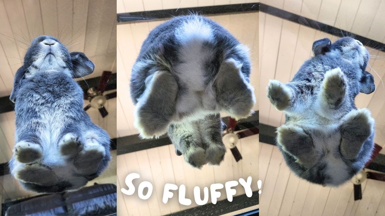 Bunny Butt & Banana &ndash; Too Cute to Handle!