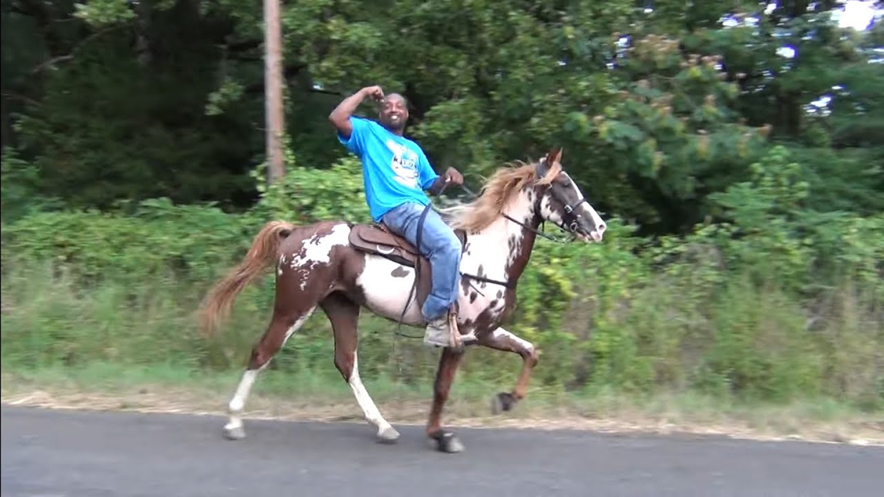 Hooks Texas Trail Ride 2022