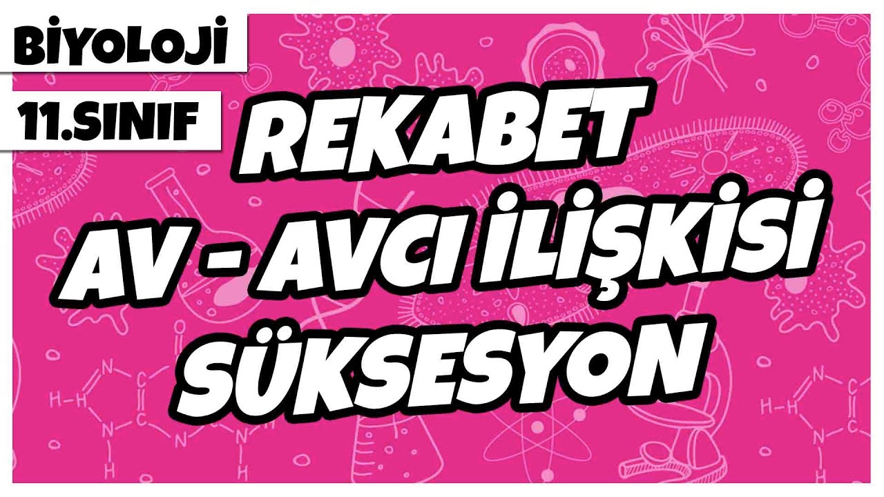 11. Sınıf Biyoloji - Rekabet, Av - Avcı İlişkisi, Süksesyon | 2022