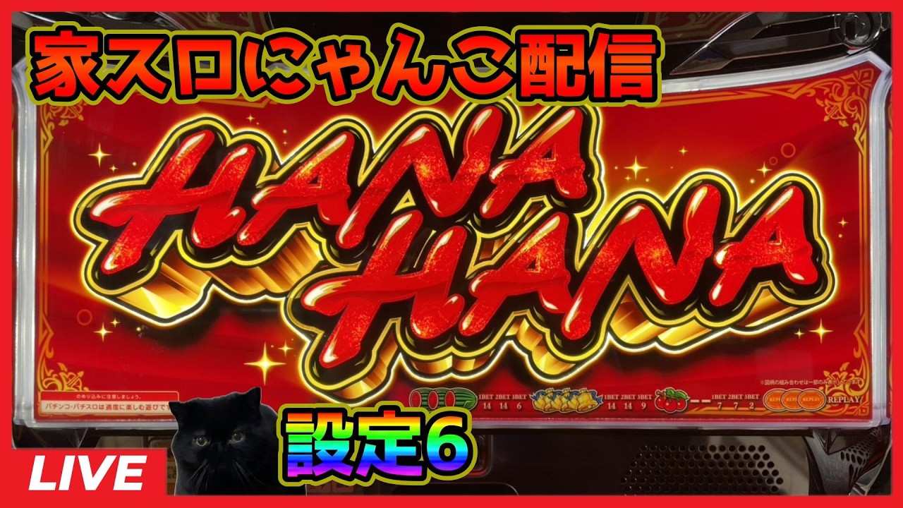 【家スロにゃんこ配信】キングハナハナ‐30「6.5号機」【設定6】
