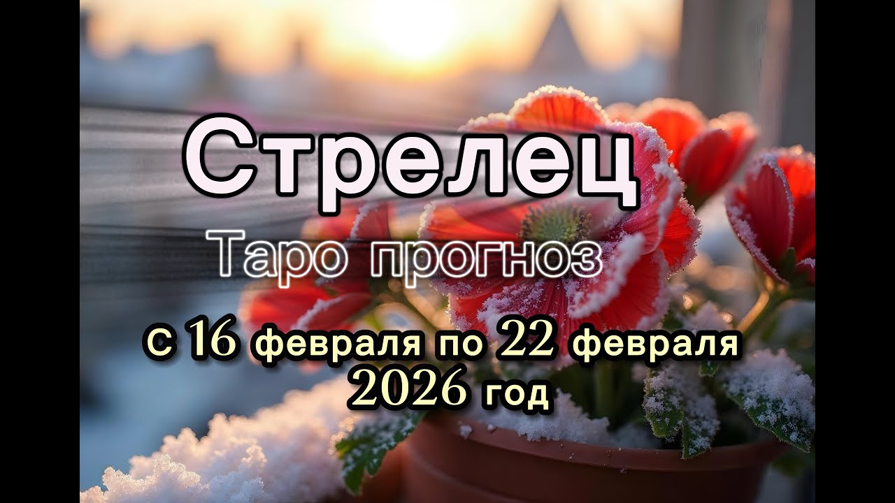 СТРЕЛЕЦ  💖таро прогноз ‼️16.02-22.02(2026) #прогноз #таро #стрелец