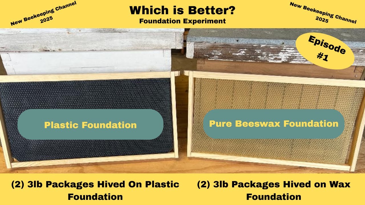 Pure Honeybee Wax or Honeybee Waxed Plastic Foundation