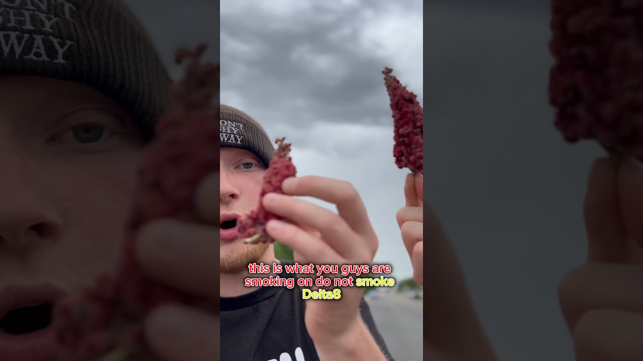 This Is Why You Shouldn&rsquo;t Smoke Delta-8!
