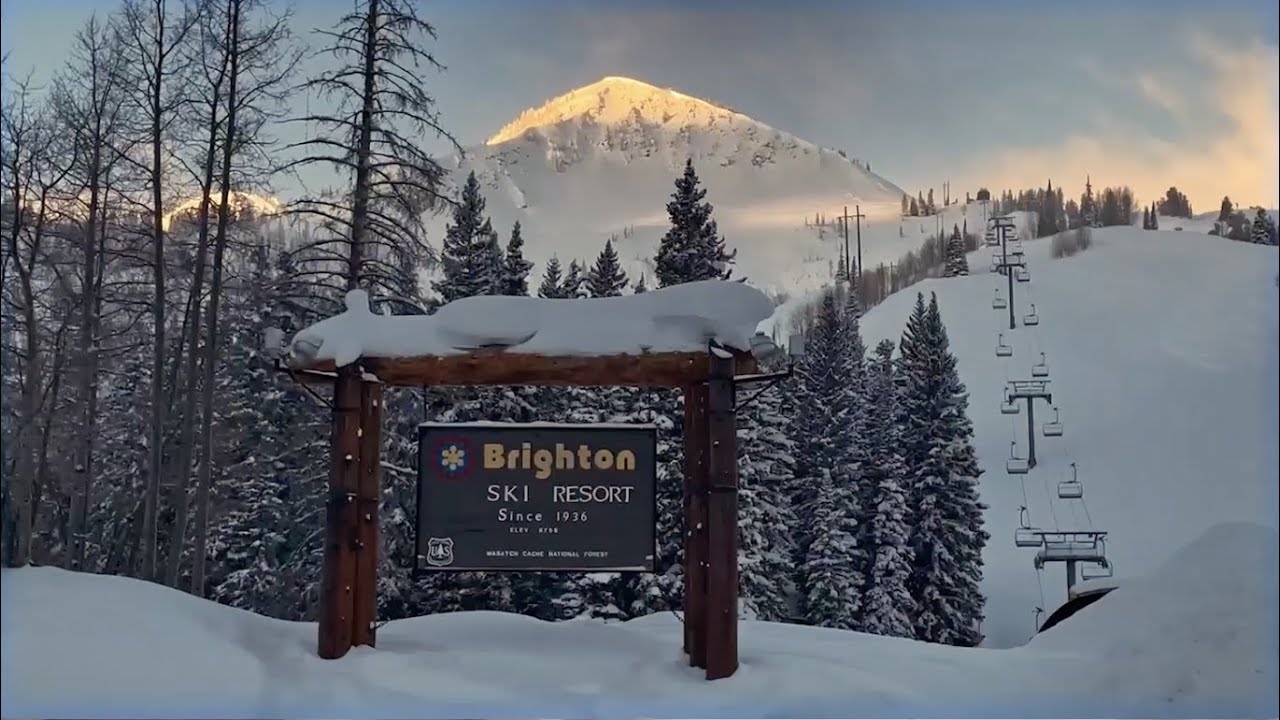 MICRODOSE Brighton Resort - Episode 1 of 6
