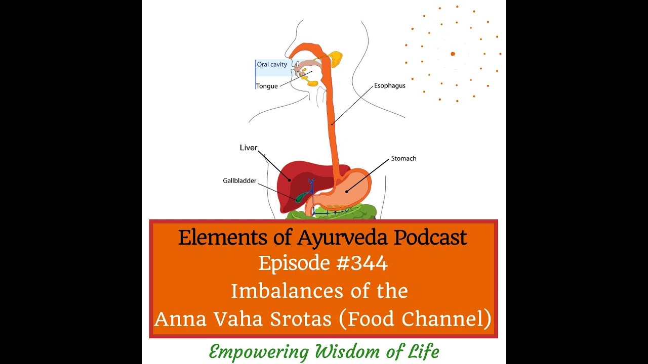Episode #344 Imbalances of Anna Vaha Srotas Food Channel  #ayurvedapodcast #ayurveda