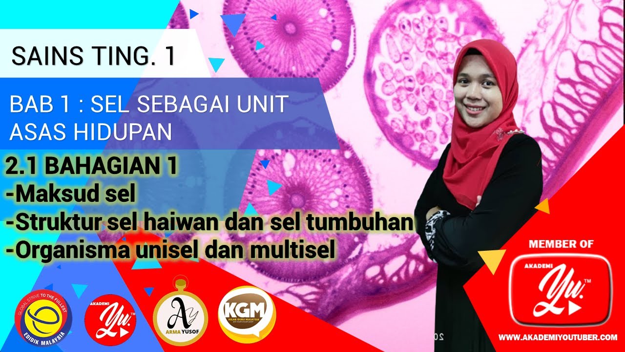 SAINS TING 1 BAB 2.1 (BAHAGIAN 1) SEL - STRUKTUR, FUNGSI DAN ORGANISASI