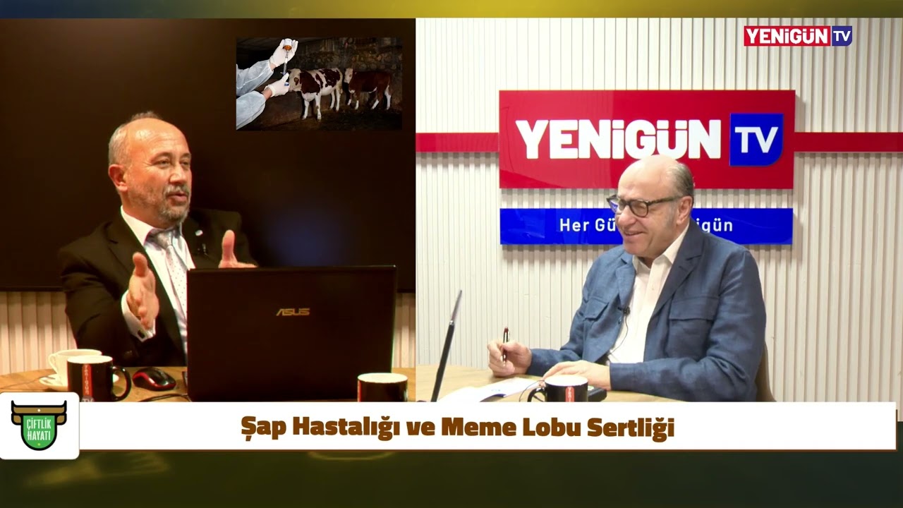 Şap Hastalığı Memeye Vurursa Ne Olur? Meme Lobu Sertliği ve Ödem (Kuru Dönem) | Mehmet Kale