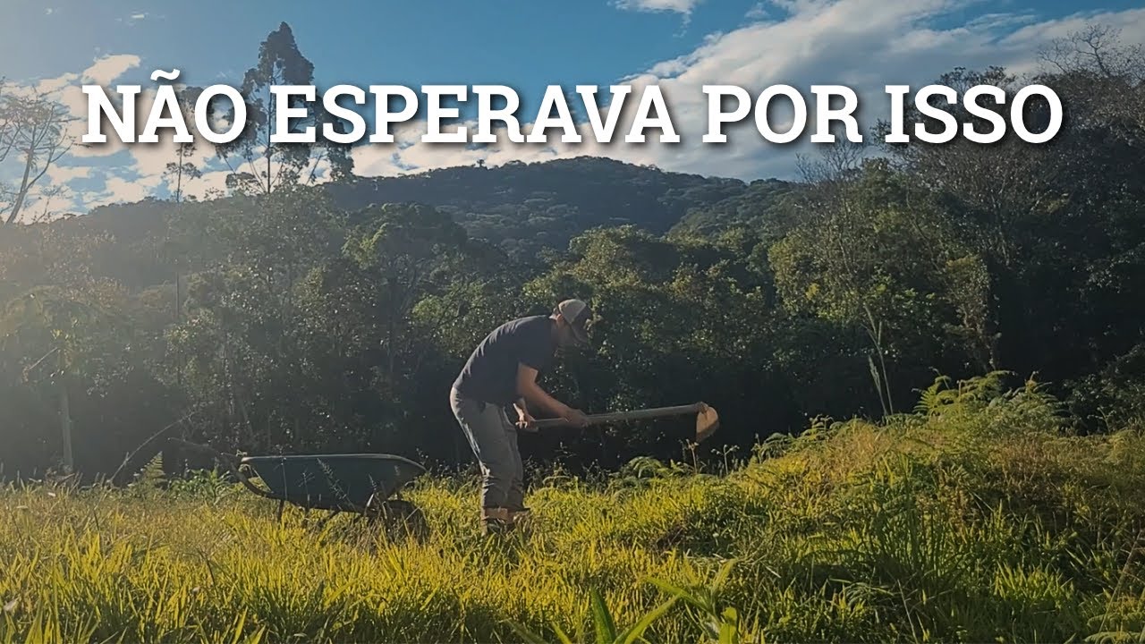Plantando no sítio e enfrentando o inesperado