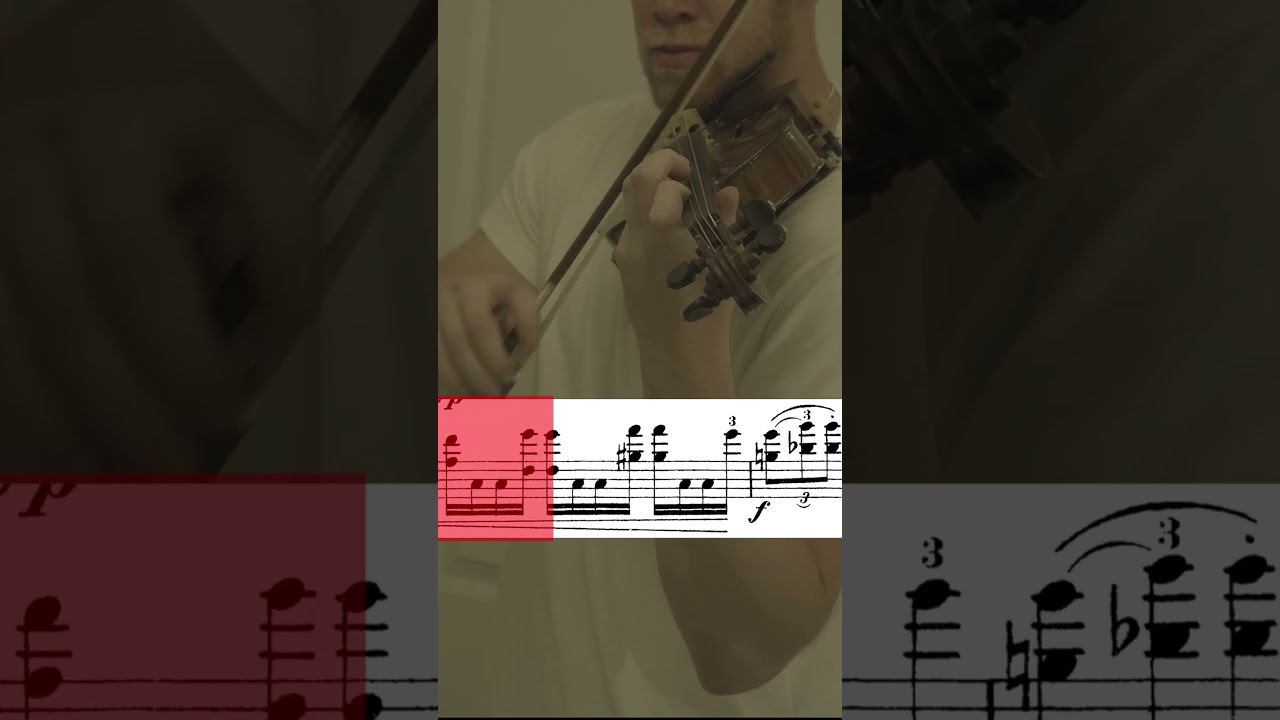 Jean Sibelius Violin Concerto in D minor, Op. 47 (Finale) 🚽Played this in my bathroom