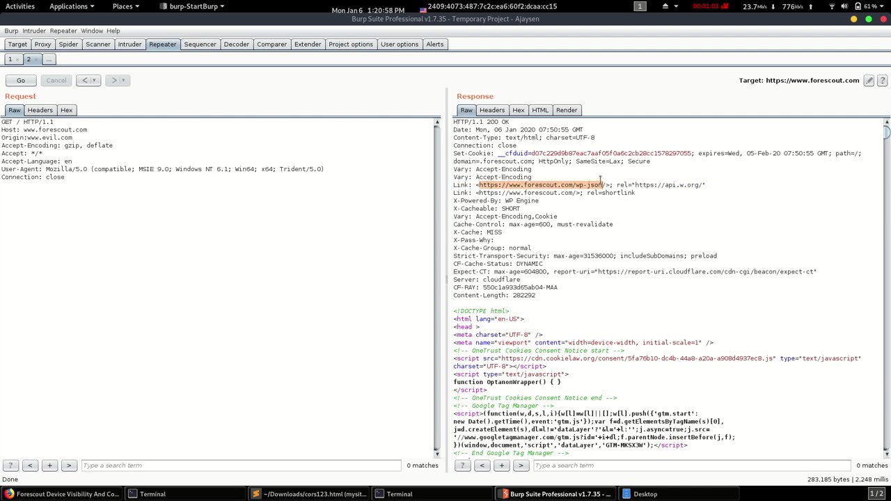 Exploiting CORS misconfiguration |Understanding CORS Misconfigurations - Educational PoC