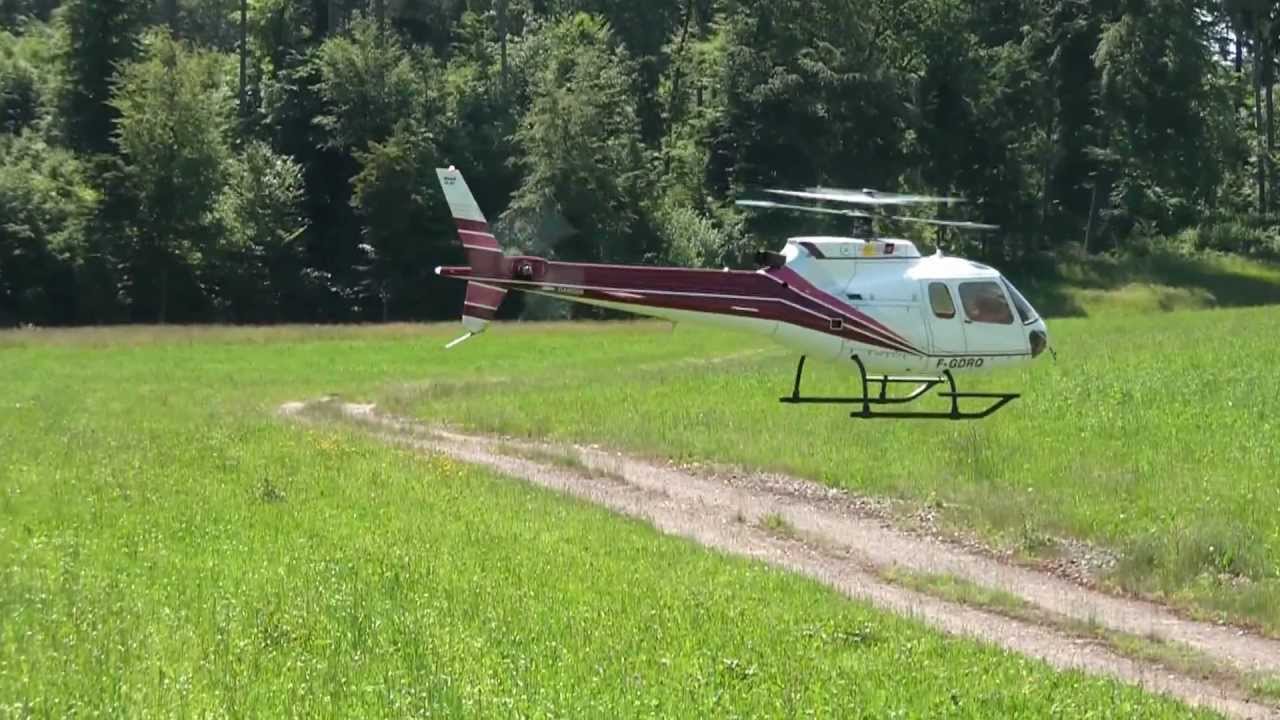 Rc Heli T-Rex 600 Ecureuil