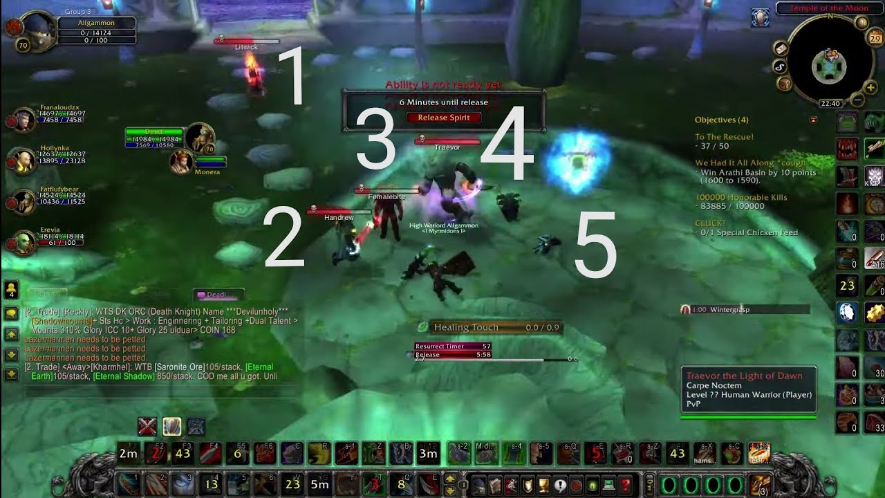 how many players are needed to kill a lvl 70 warrior twink ?