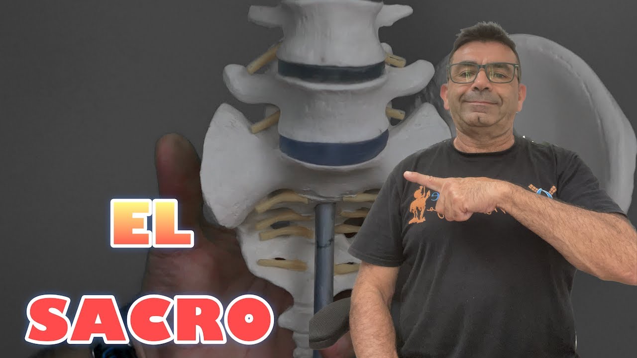 Cómo movilizar el SACRO.