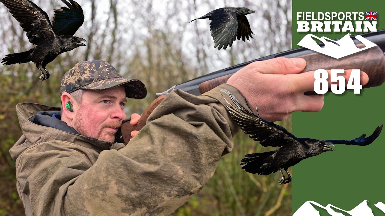 Fieldsports Britain &ndash; Весенние вороны