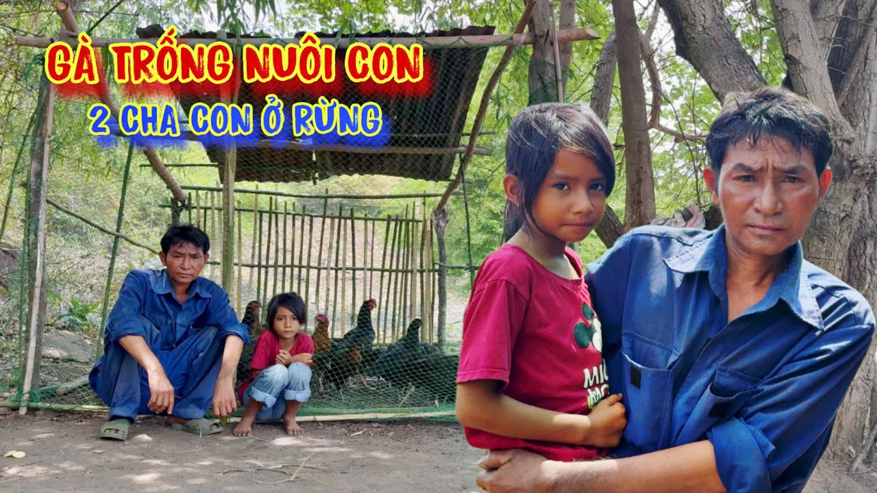 GÀ TRỐNG nuôi con, 2 cha con được TẶNG món quà TO LỚN - tập 1480