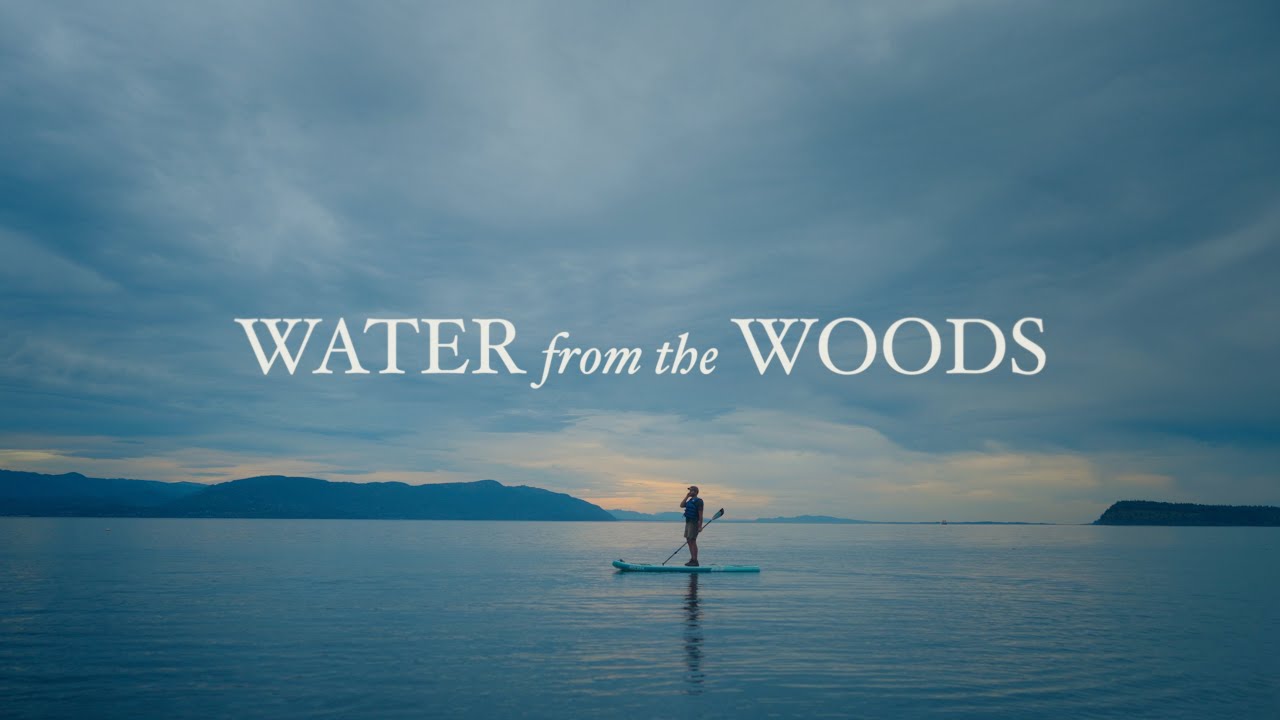 Water from the Woods