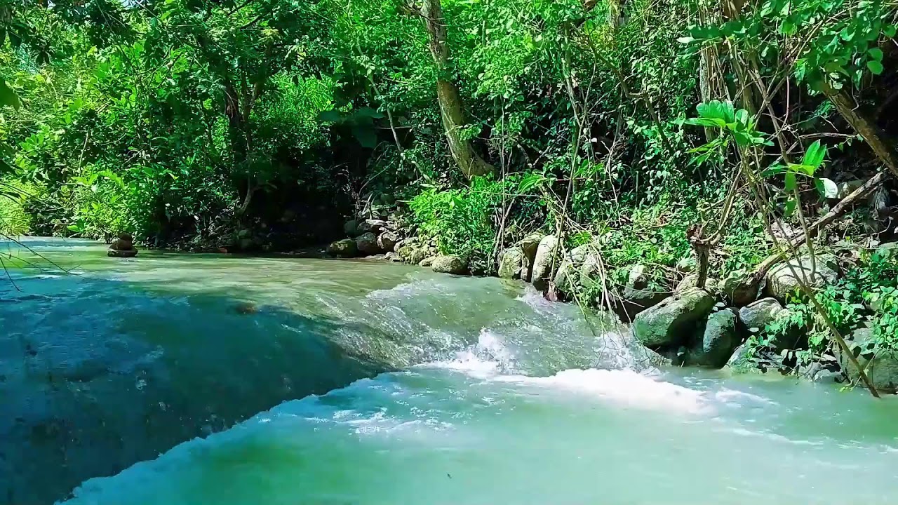 Green Valley Waterfall Gentle Flowing Water for Instant Calm