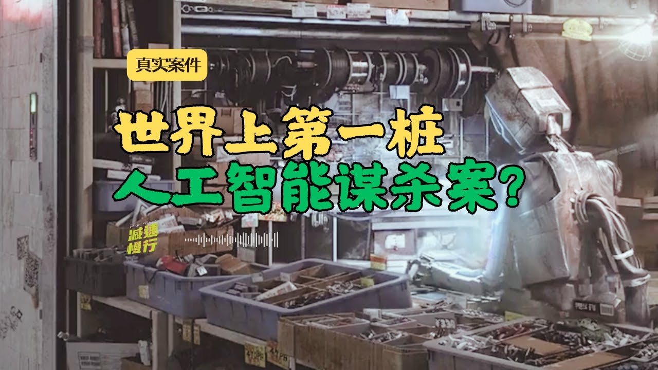 没想到AI对人类第一场谋杀竟以这样的方式…… 真实案件 | 减速慢行播客