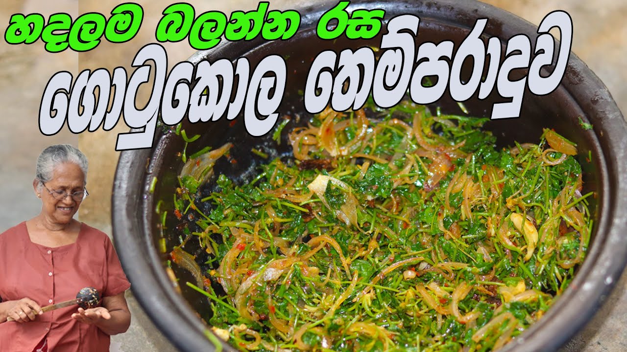 ගොටුකොල තෙම්පරාදුව | gotukola themparaduwa By Grandma & me