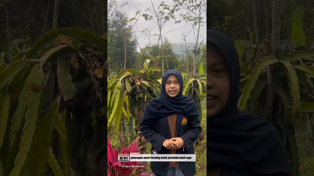 SMART FARMING UNTUK PETANI MILENIAL - OPTIMALISASI CAHAYA DENGAN SENSOR & TIMER OTOMATIS