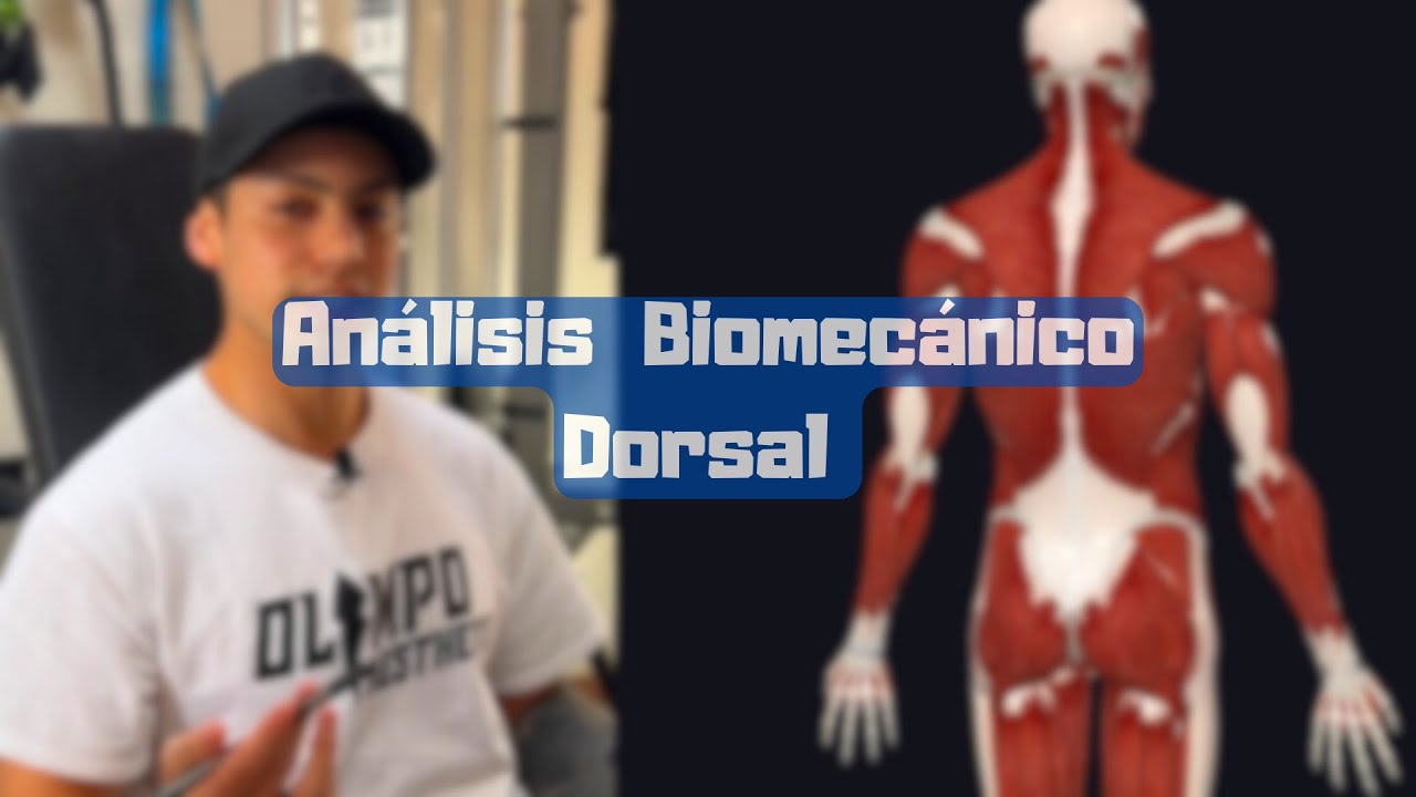 BIOMECÁNICA DEL DORSAL / analizando Brazo de momento interno