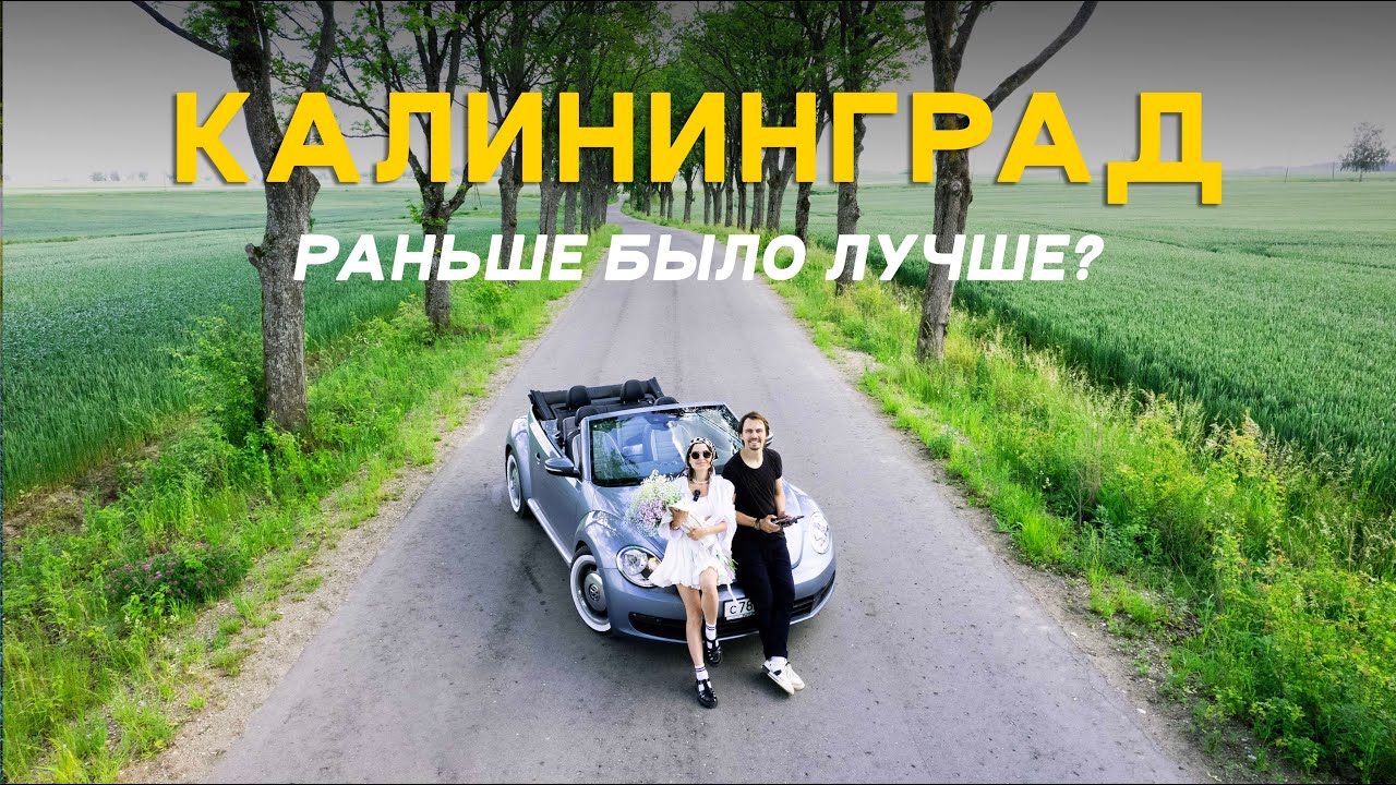 Чем живёт Калининград сегодня? / Город котиков, рок в храме и нескучная история