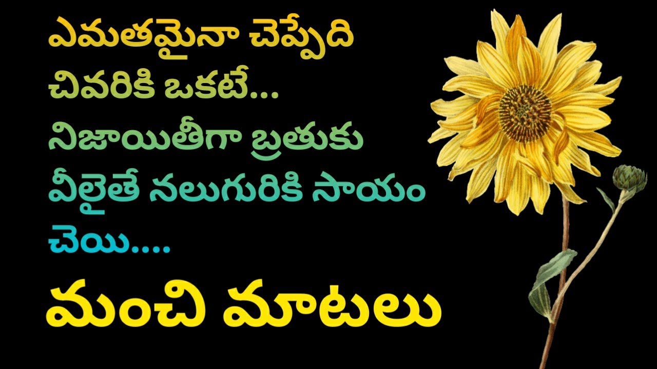 Top matalu #551 | quotes | jeevitha satyalu | neethi vakyalu | manchi matalu | telugu sukthulu