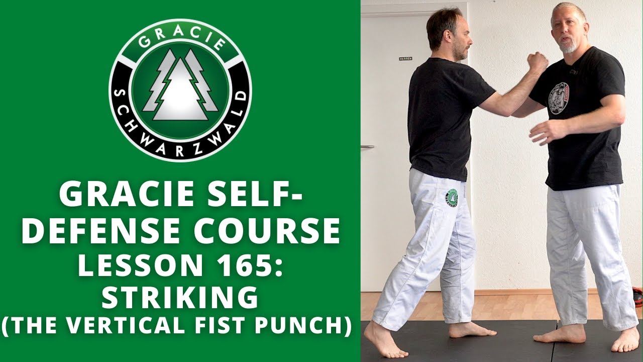 BJJ Self-Defense Course | Lesson 165: Striking (Vertical Fist Punch)