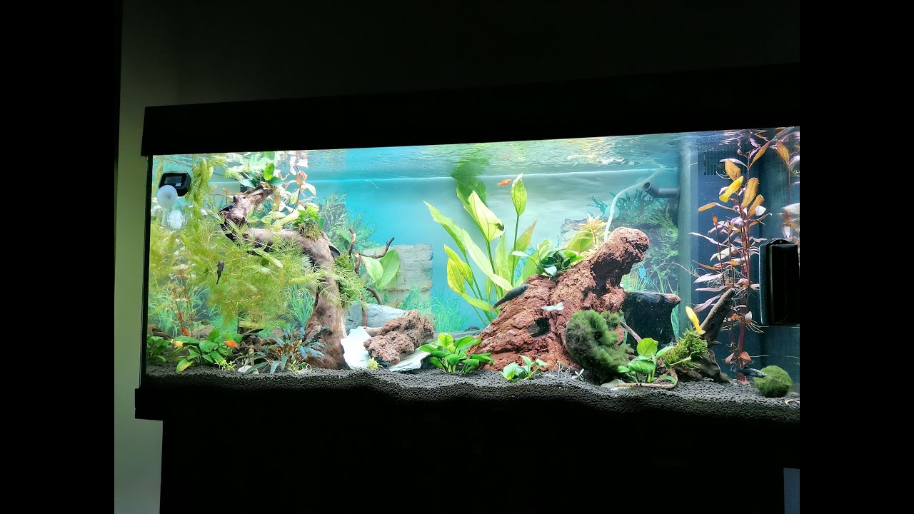 Juwel Rio 180L