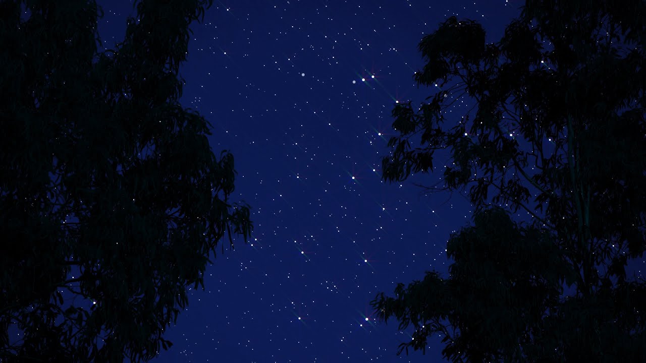 Cricket & Insects Chirping at Starry Night | Nighttime Ambience | 10 Hours | Nature Sleep Sounds