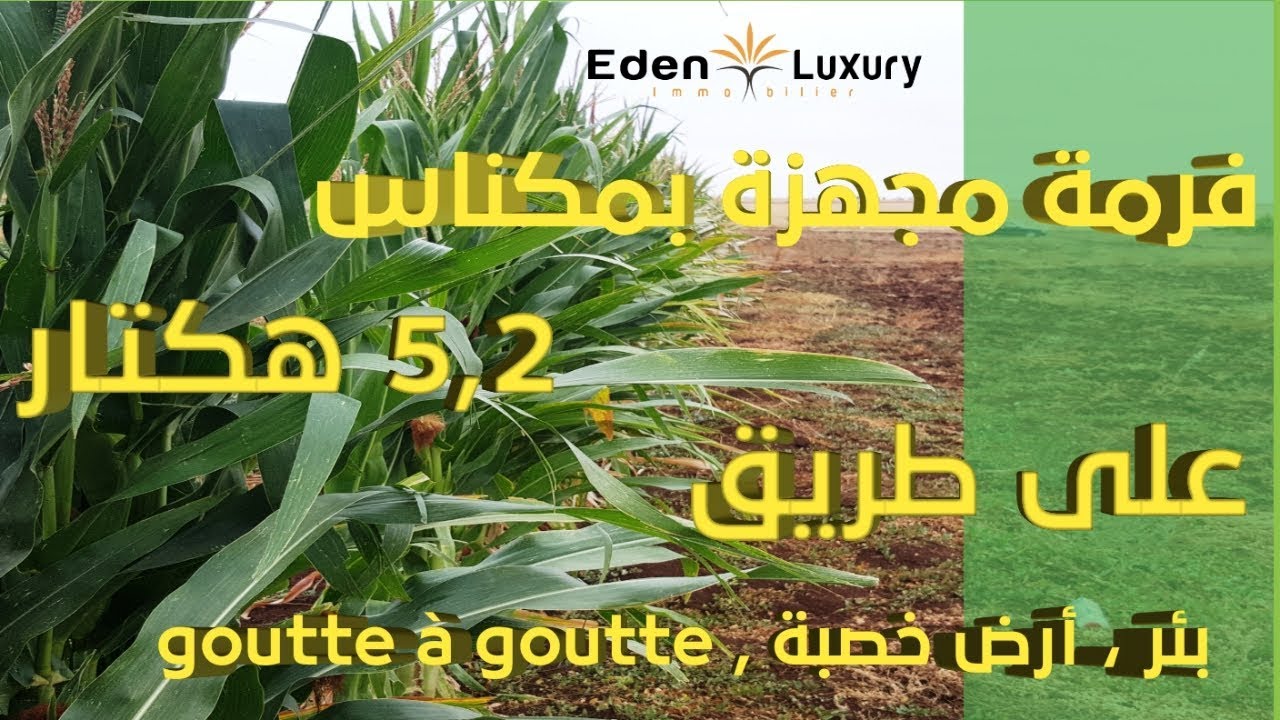 فيرمة ضيعة للبيع بالمغرب مكناس مجهزة ferme a vendre maroc meknes équipée