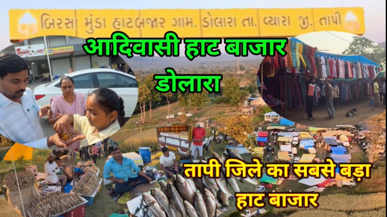 तापी ज़िल्ले का सबसें बड़ा आदिवासी हाट बाज़ार डोलारा||बिरसा मुंडा हाट बाज़ार गाँव डोलारा||