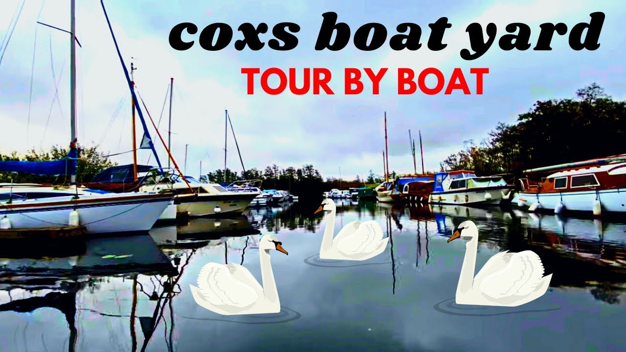 Coxs boat yard tour Barton turf river ant by boat scenery wildlife boats norfolk broads pike attack