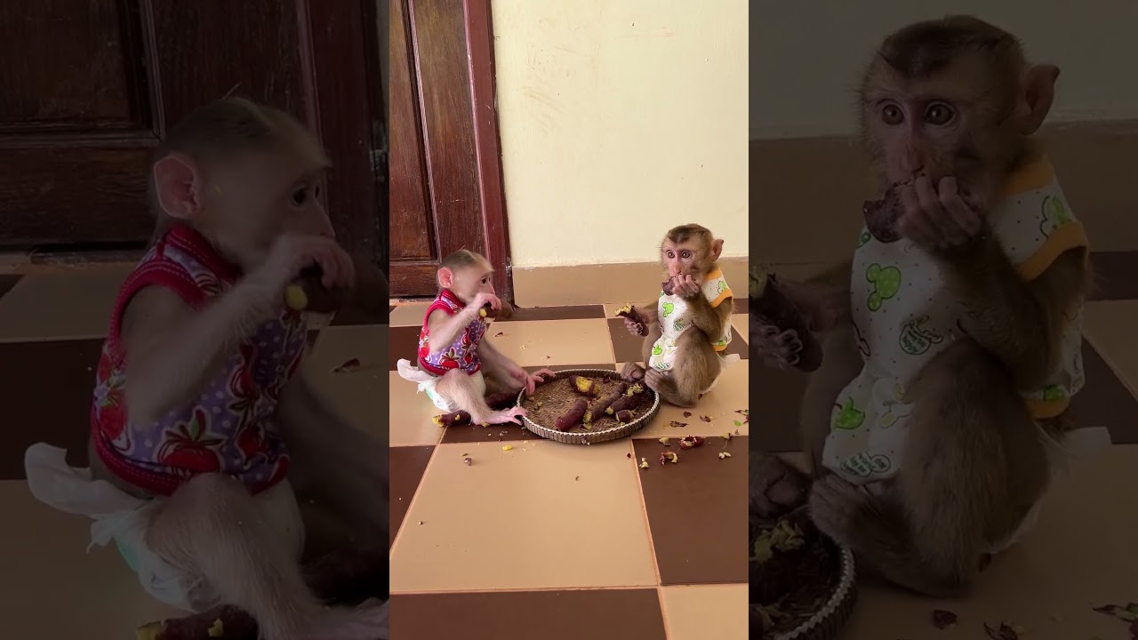 Janny & Pav pav share  fruit.....