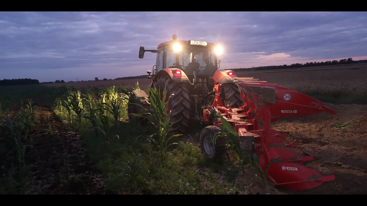 orka nie udanej kukurydzy zetor forterra cl130 + akpil km80 + test spalania cz1