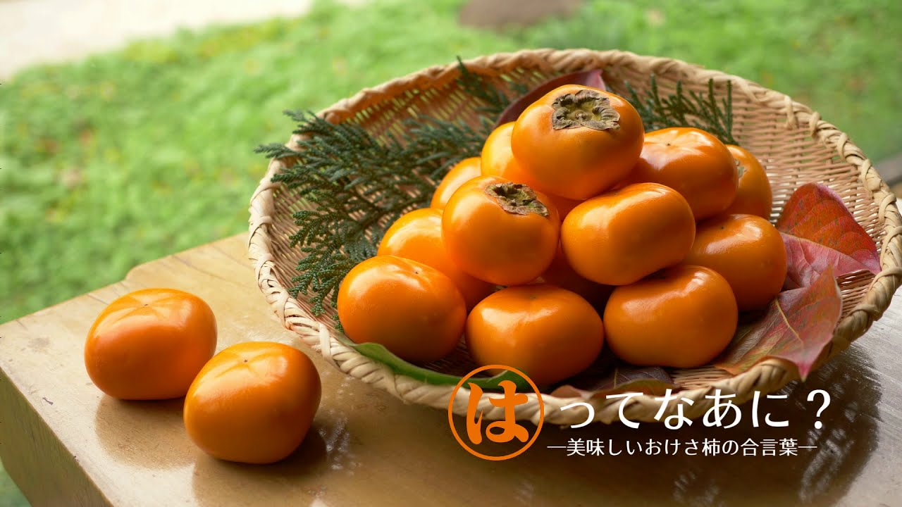 ＪＡ羽茂”まるは”おけさ柿ＰＲムービー　ショートバージョン