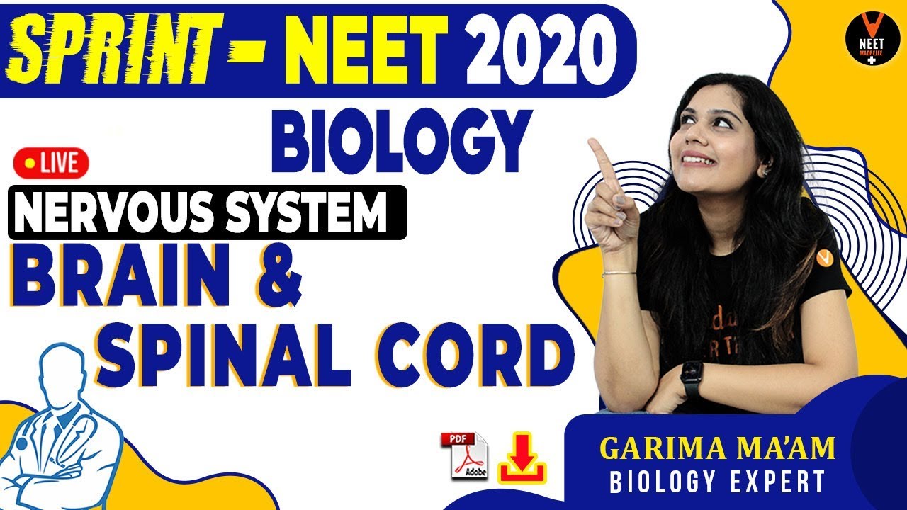 Brain and Spinal Cord | NEET Biology MCQs Series | NEET 2020 | NCERT Biology | Garima Ma'am