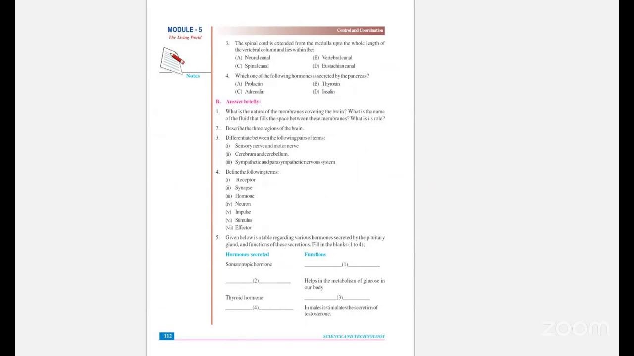 Zoom Classes Online