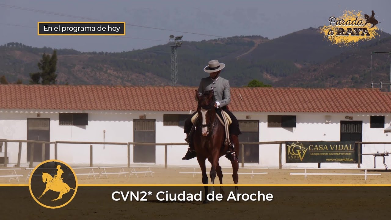 Parada a Raya 317