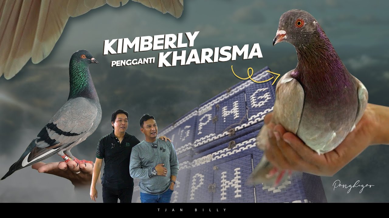 GREBEK KANDANG PANGHEGAR TEAM KIMBERLY AKAN TERJUN KE BEBASAN