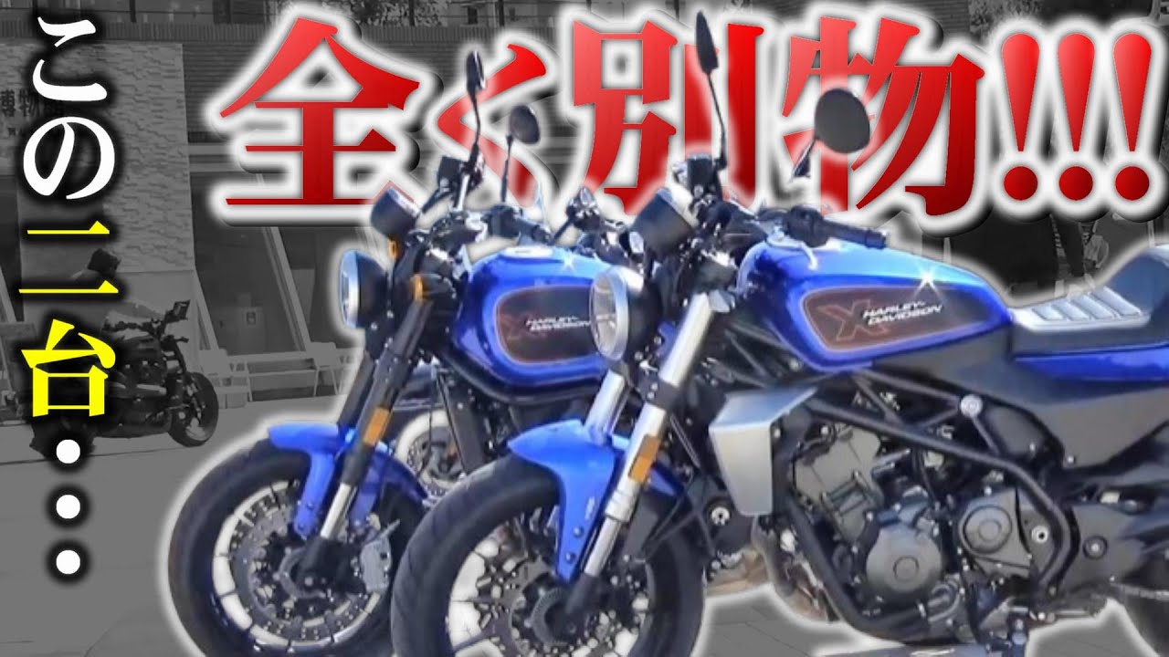 【なんだコレ!?】ハーレーのXシリーズ二台が全然ちげーじゃねーか!!!【X350/X500】