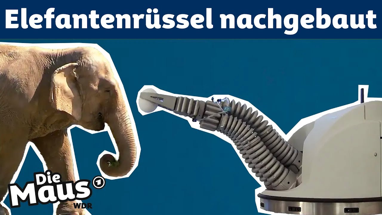 Bionic Rüssel | DieMaus | WDR