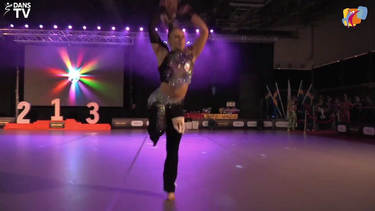 DISCO SOLO ADULT - FINAL 🪩✨| Disco Dance European Championship 2025