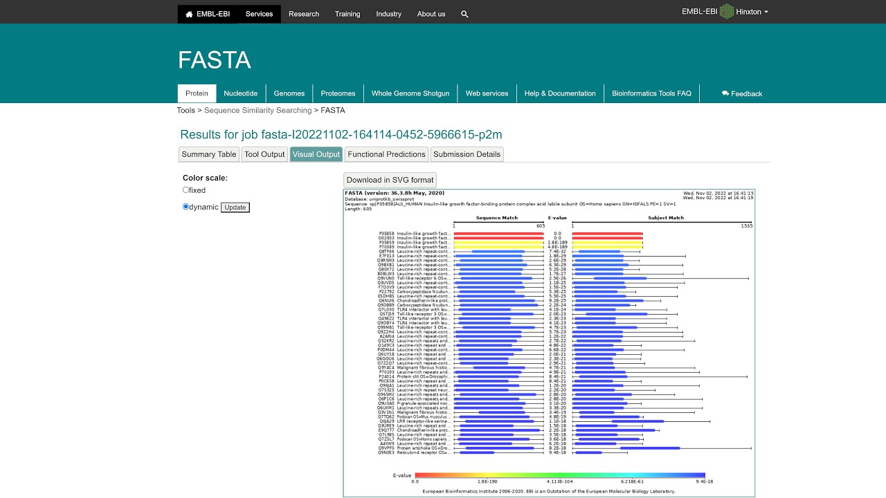 Sequence Similarity Searching using EBI FASTA #bioinformatics #sequence #alignment #local #global