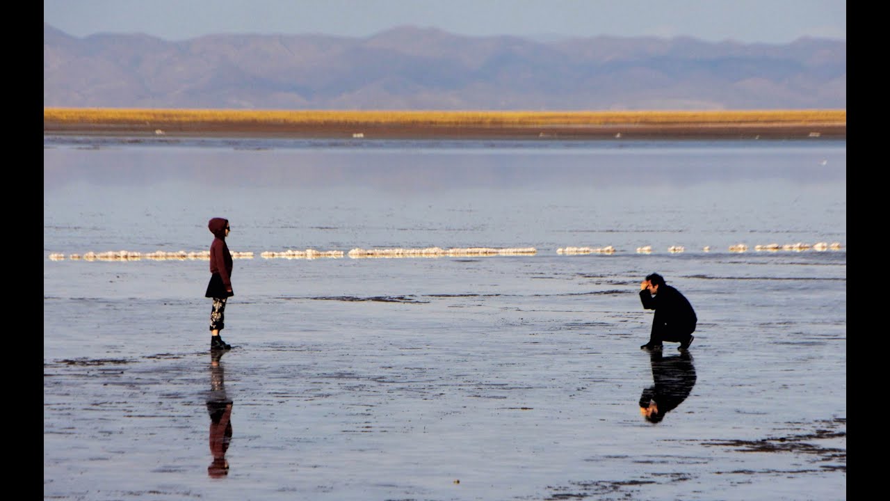 SHOWREEL Rodrigo Pardo-ScreenDance Maker