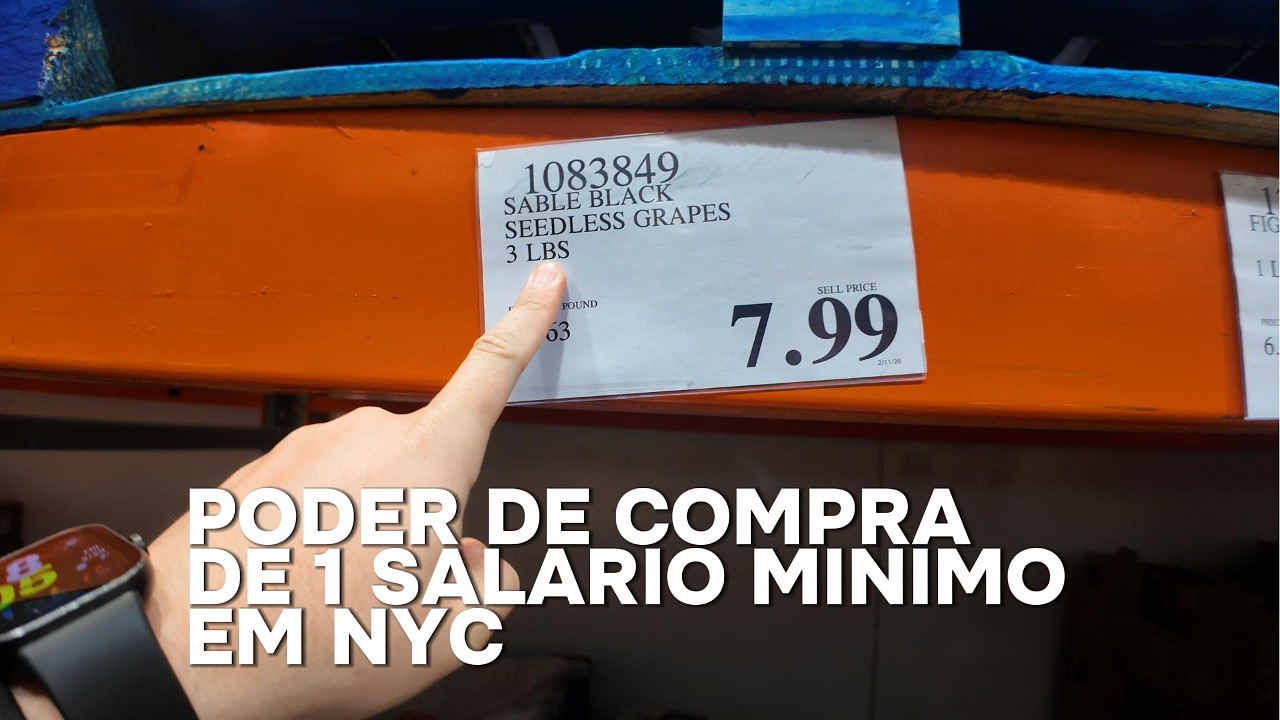 o que dá pra comprar com 1 dia de salário minimo nos eua?