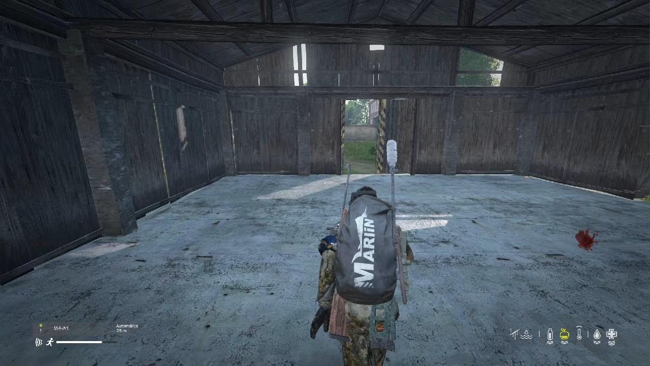 DayZ_20260203182457